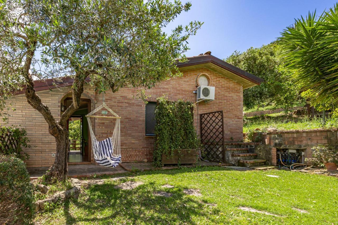 Vineyard Dependance With Shared Pool - Happy Rentals Casal Velino Exterior foto