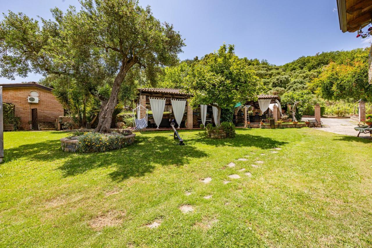 Vineyard Dependance With Shared Pool - Happy Rentals Casal Velino Exterior foto